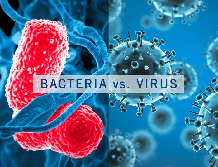 تفاوت باکتری و ویروس چیه