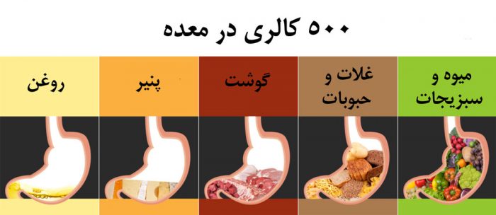 فرق چربی با کالری