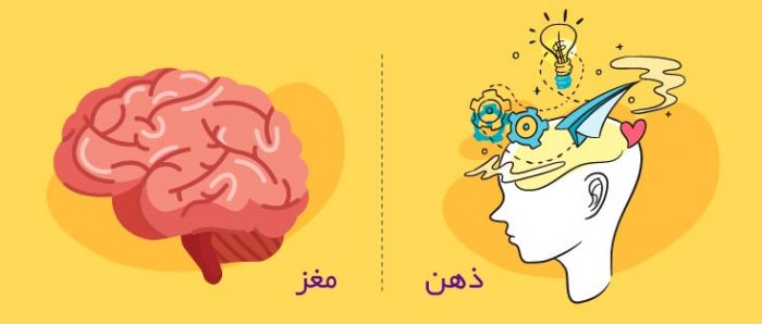 فرق ذهن و مغز