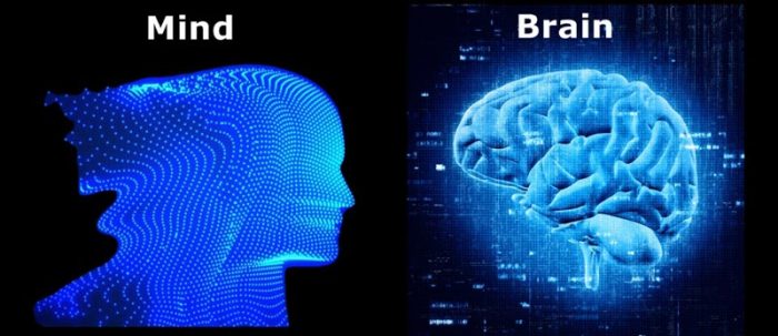 فرق ذهن و مغز چیه