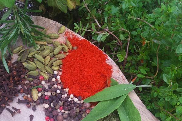 تفاوت سبزی با ادویه چیه؟