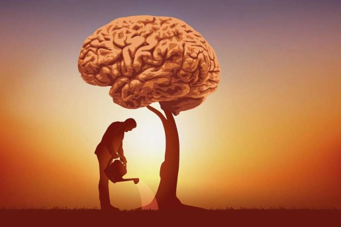 فرق دانش، خرد، درک و بینش