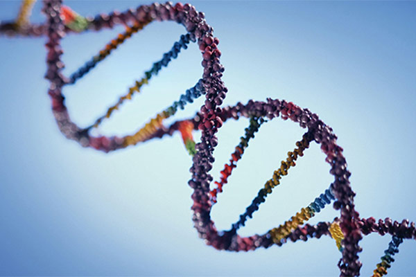 ساختار DNA چطوریه؟