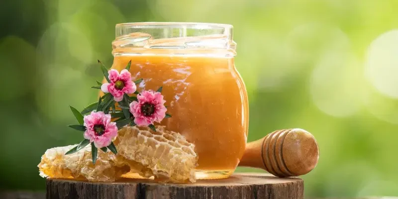 تفاوت عسل طبیعی با عسل وحشی